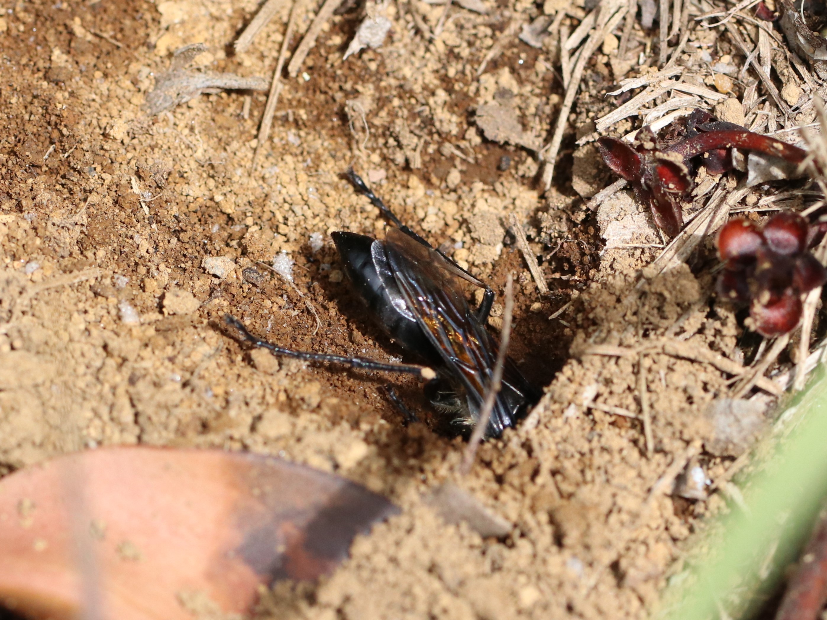 photo_1